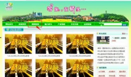 东莞新闻今日爆料最新,最新爆料揭露神秘事件真相