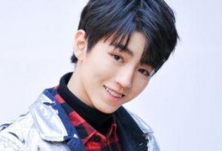 王海鑫爆料王俊凯视频,事件背后真相揭秘